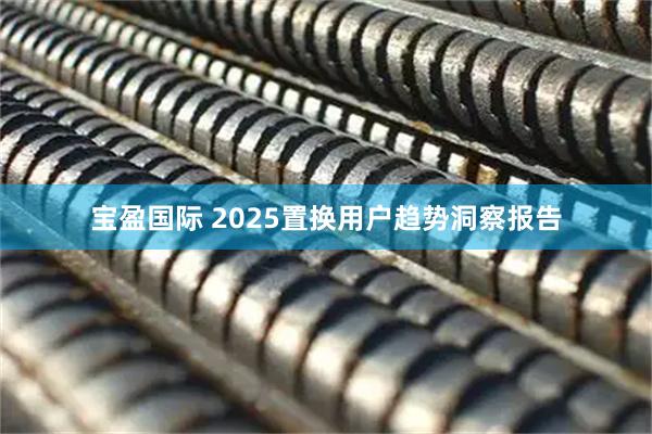 宝盈国际 2025置换用户趋势洞察报告