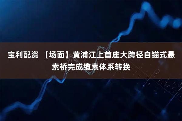 宝利配资 【场面】黄浦江上首座大跨径自锚式悬索桥完成缆索体系转换
