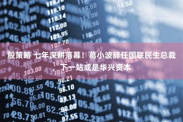 股策略 七年深耕落幕！葛小波辞任国联民生总裁，下一站或是华兴资本